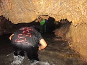 11295696_426980237483552_1793468961939835316_n